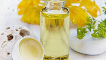 Karınca Yağı Nedir? Faydaları Nelerdir