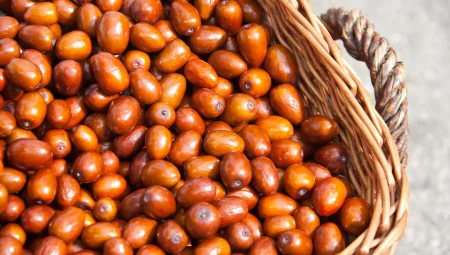 İğde Kabuklu Yenirse Ne Olur?