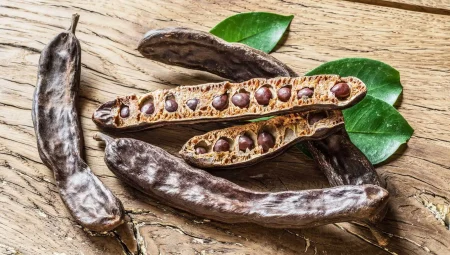 Keçiboynuzunun Bilinmeyen Faydaları