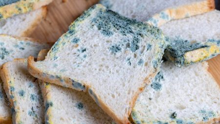 Küflü Ekmek Yenilir Mi?